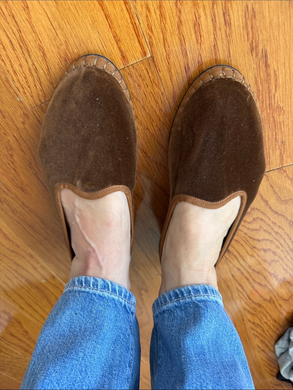 Flabelus brown velvet slippers